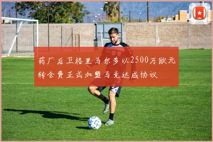 药厂后卫格里马尔多以2500万欧元转会费正式加盟马竞达成协议